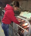 Rachelle prefers checking the hog water on cold winter mornings, it's a lot warmer inside the heated hog barns!